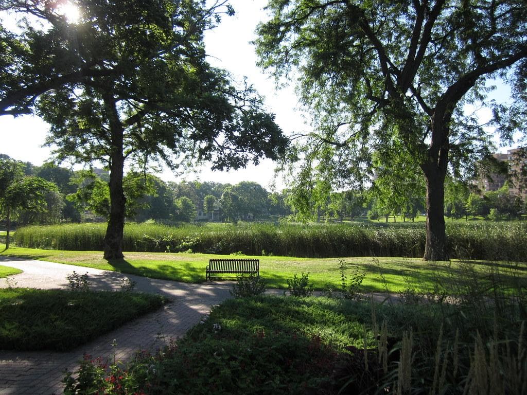 Loring Park festival grounds
