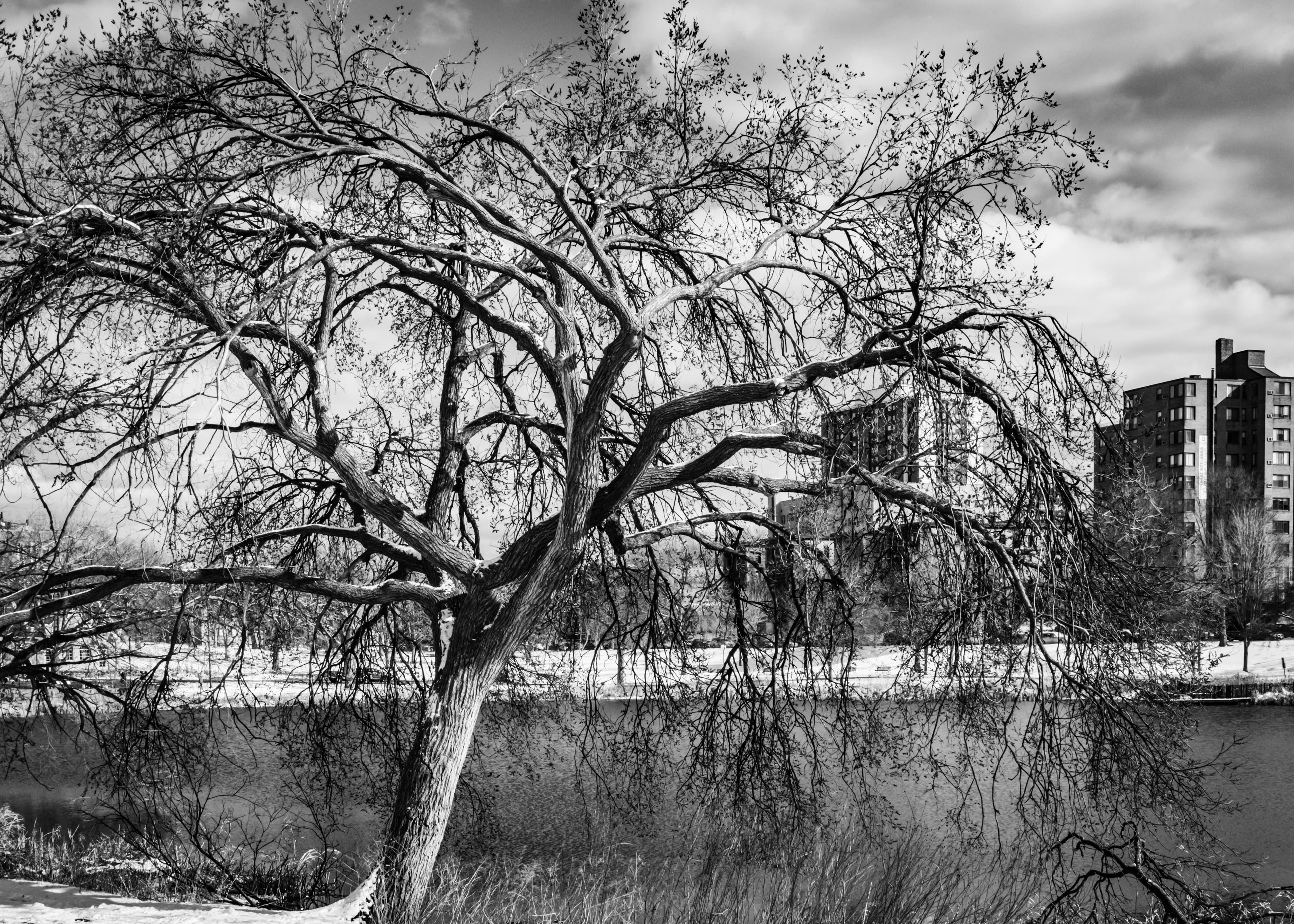 File:Loring Park, Minneapolis - 2024 1.jpg