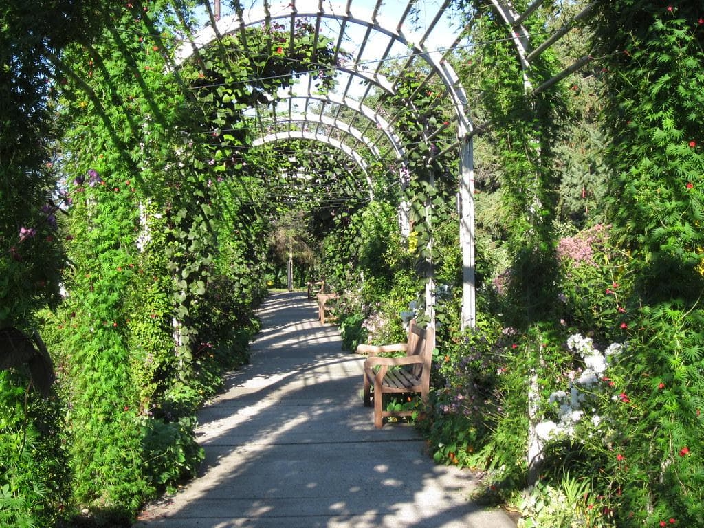 Minneapolis Sculpture Garden