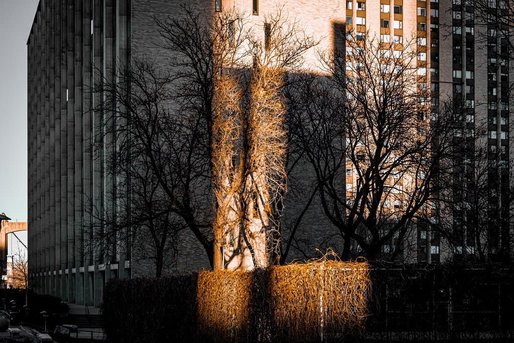 Hennepin Avenue, Minneapolis 12/29/23