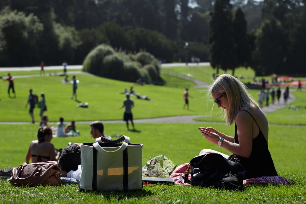 Neighbors gathered for a summer picnic in a city park