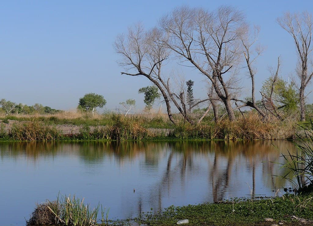 A constructed wetland that filters stormwater