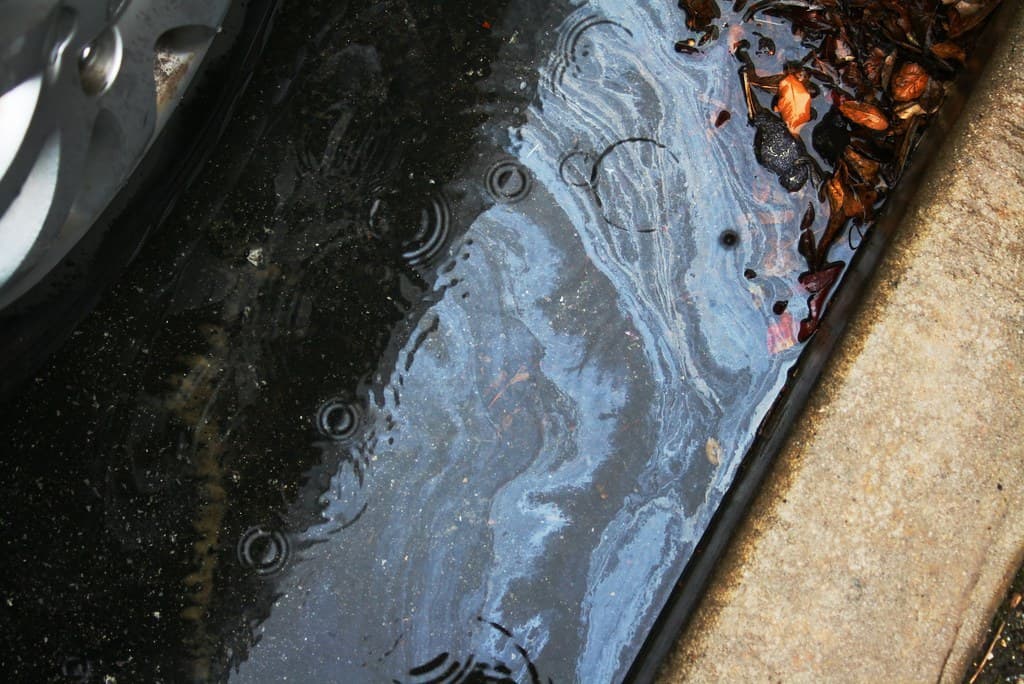 Stormwater running off a city street toward a drain
